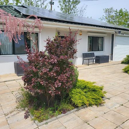 Casa Elis Piscina, Jacuzzy , Sauna, Ciubar Merei Zewnętrze zdjęcie
