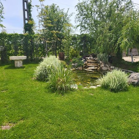 Casa Elis Piscina, Jacuzzy , Sauna, Ciubar Merei Zewnętrze zdjęcie