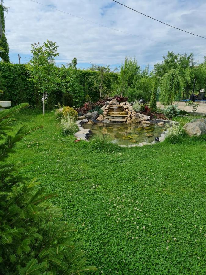 Casa Elis Piscina, Jacuzzy , Sauna, Ciubar Merei Zewnętrze zdjęcie