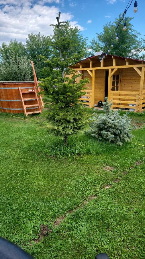 Casa Elis Piscina, Jacuzzy , Sauna, Ciubar Merei Zewnętrze zdjęcie