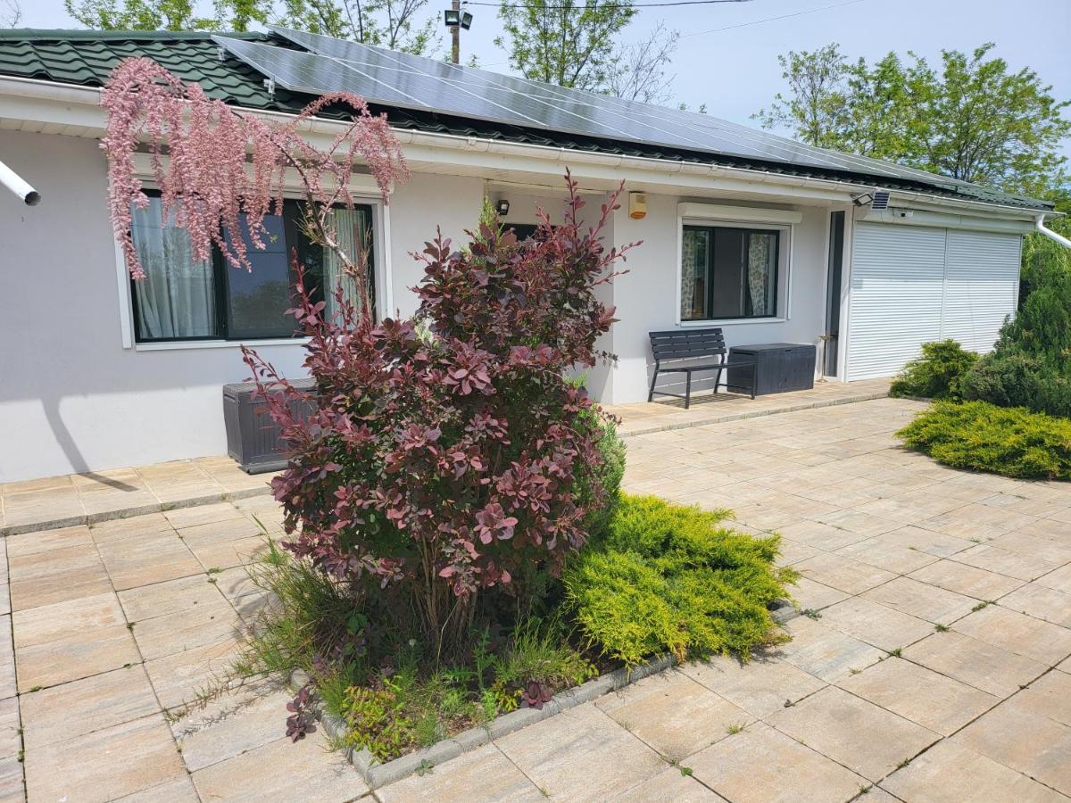 Casa Elis Piscina, Jacuzzy , Sauna, Ciubar Merei Zewnętrze zdjęcie