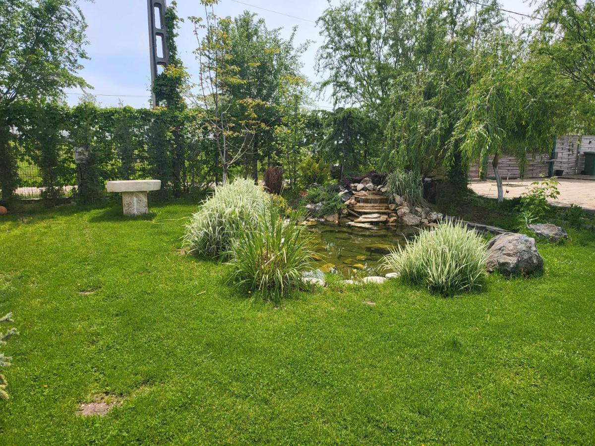 Casa Elis Piscina, Jacuzzy , Sauna, Ciubar Merei Zewnętrze zdjęcie